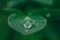The image shows a leaf with water drops as a symbol for sustainability.