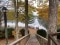 The image shows forrest in Canada.