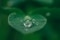 The image shows a leaf with water drops as a symbol for sustainability.